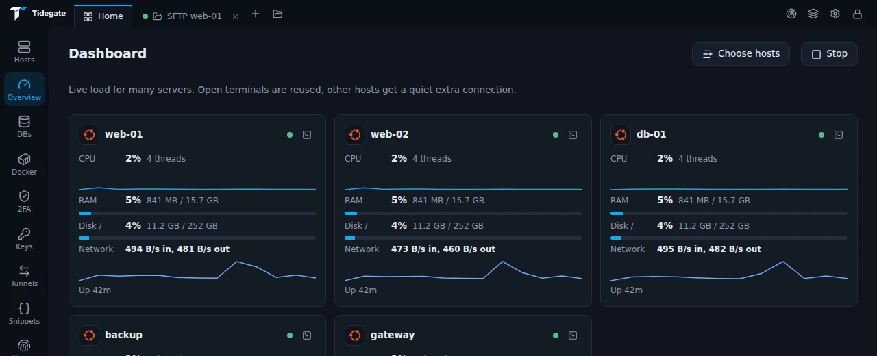 The Dashboard with web-01, web-02 and db-01 showing CPU, memory, disk and network graphs