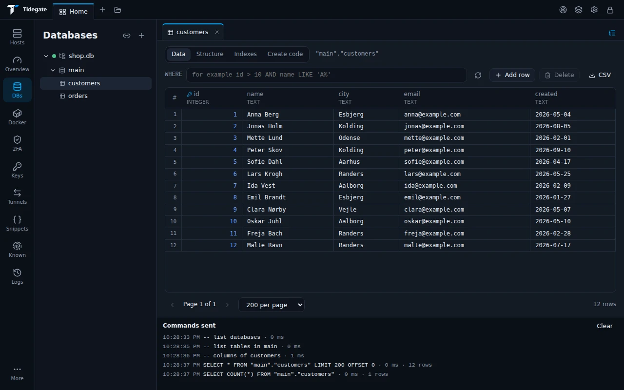 The Databases page with the customers table of shop.db open, showing twelve rows and the commands that were sent