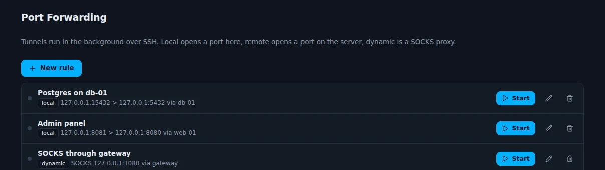 The Port Forwarding page with three rules: Postgres on db-01, Admin panel and SOCKS through gateway