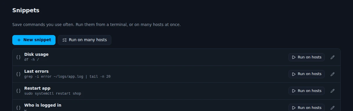 The Snippets page with Disk usage, Last errors, Restart app and Who is logged in