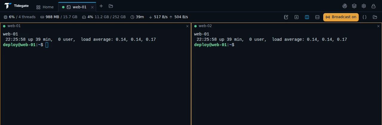 Two terminals side by side, web-01 and web-02, with Broadcast on showing the same command in both