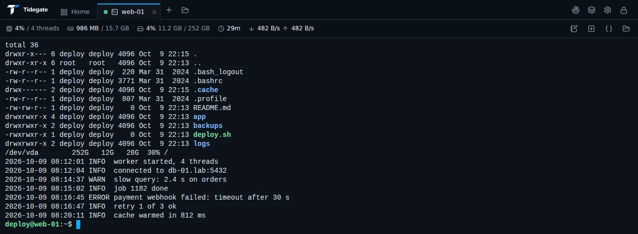 An SSH terminal for web-01 with a bar on top showing CPU, memory, disk, uptime and network speed