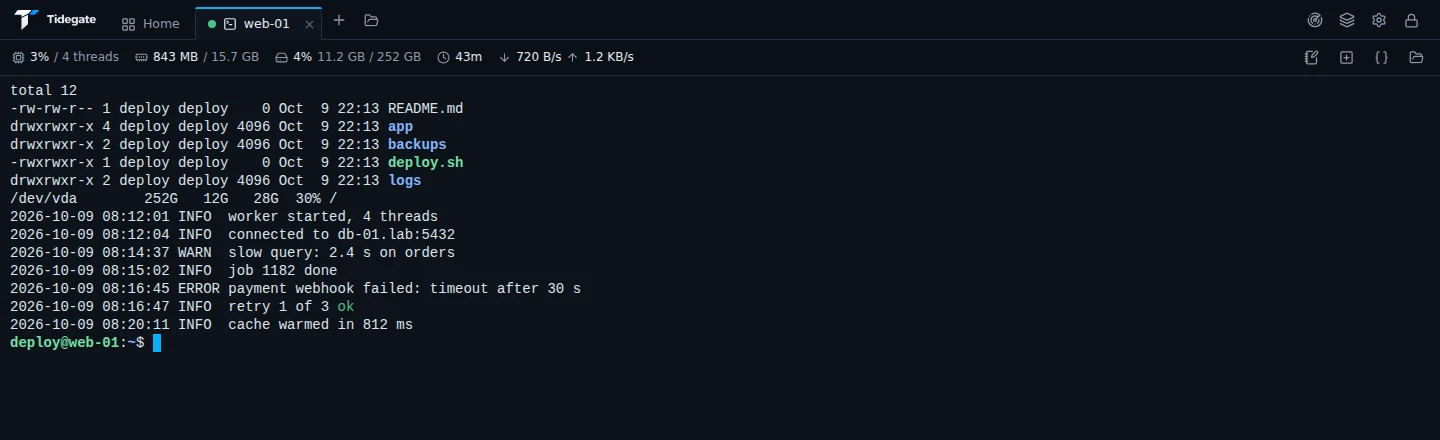 An SSH terminal with a bar on top showing CPU, memory, disk, uptime and network speed